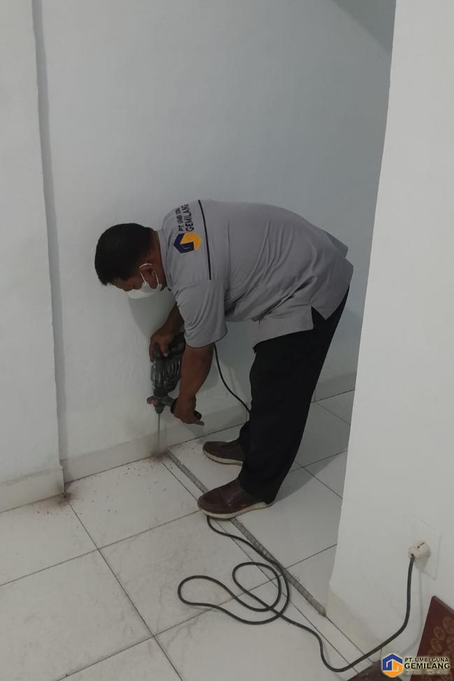 62WhatsApp Image 2024-12-21 at 11.26.48.jpeg